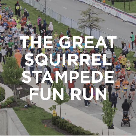 The Great Squirrel Stampede Fun Run