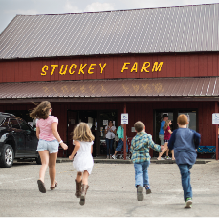 Harvest Festival at Stuckey Farm